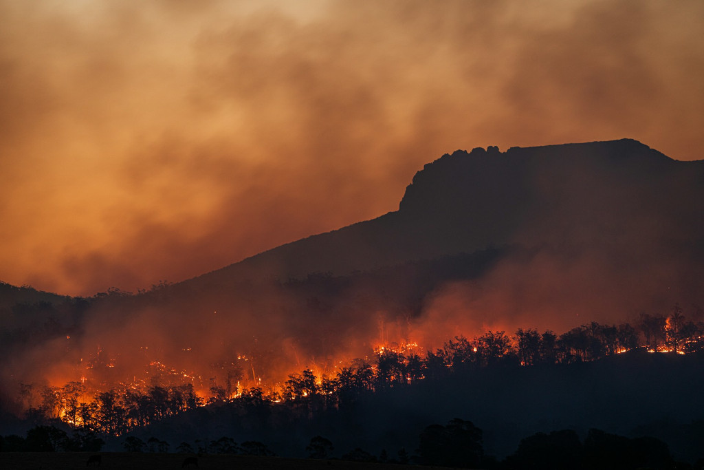 climate change - youth environmental issues today